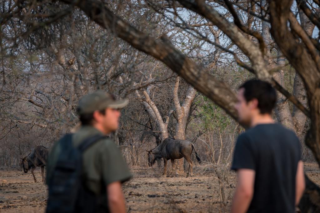 Klaserie River Safari Lodge Hoedspruit Eksteriør bilde