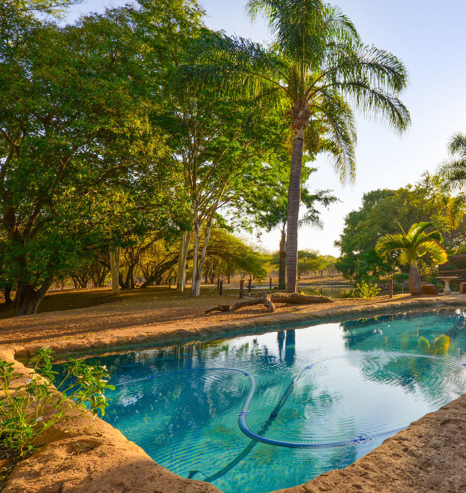 Klaserie River Safari Lodge Hoedspruit Eksteriør bilde